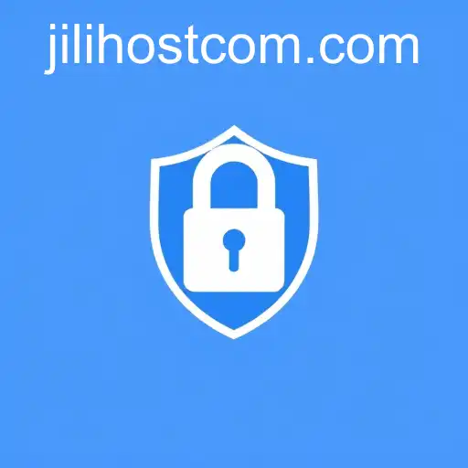 Privacy Policies and Their Significance: A Case Study on JILI.host
